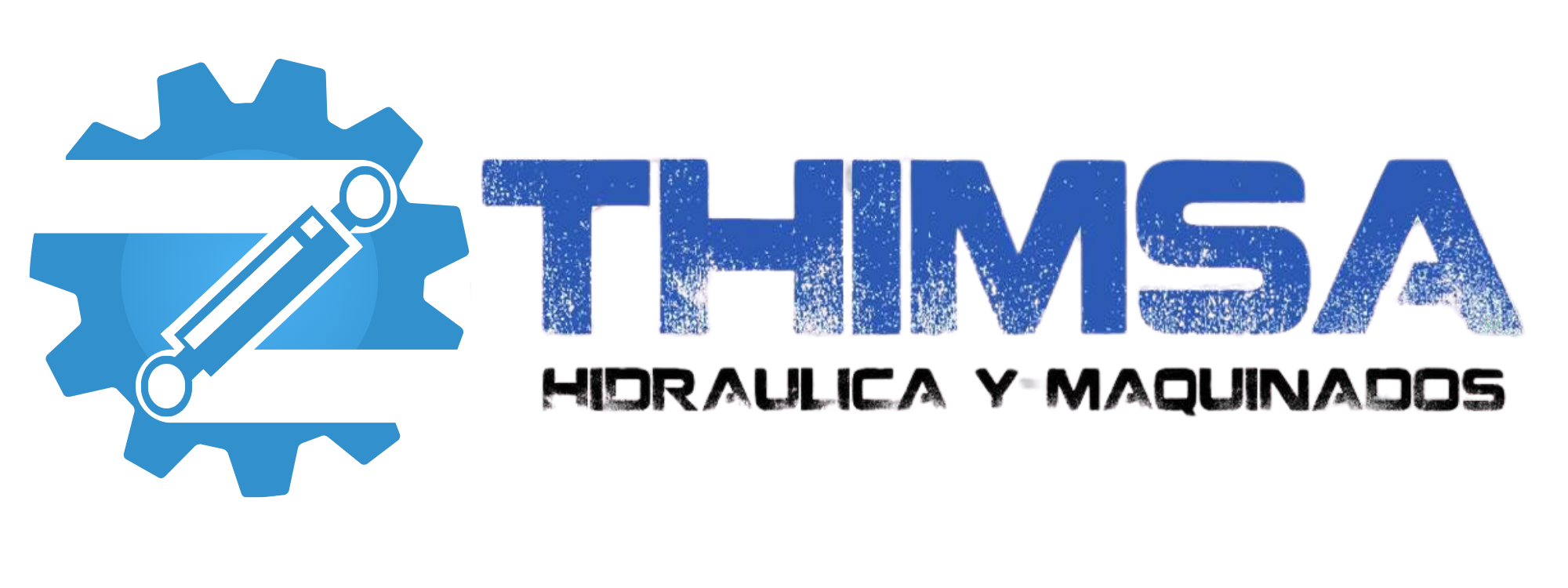 THIMSA Logo